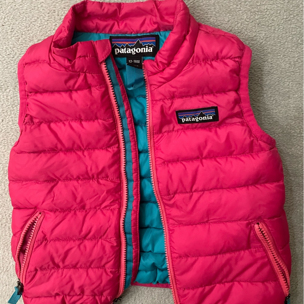 Patagonia down vest